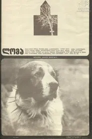 Loma movie poster