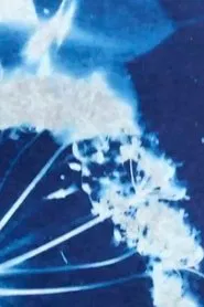 Into the Blue movie poster