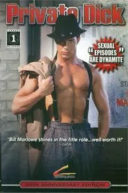Private Dick movie poster