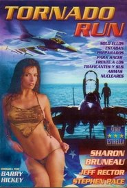 Tornado Run movie poster