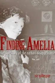 Finding Amelia movie poster
