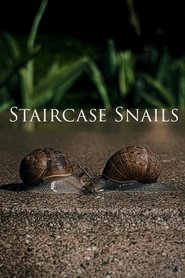 Staircase Snails movie poster