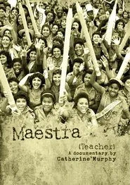 Poster do filme Maestra