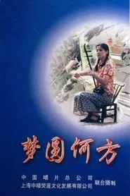 Poster da série 梦圆何方