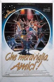 Che meraviglia, amici! movie poster