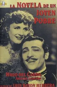 Poster do filme La novela de un joven pobre