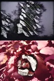 Reincarnation movie poster