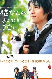 Cats Don't Come When You Call movie poster