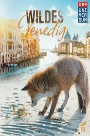 Wildes Venedig movie poster