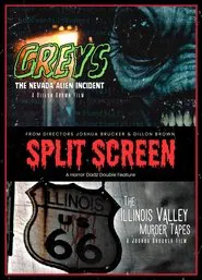 Poster do filme Split Screen