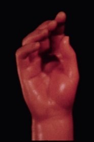 Cartoons: The Central Finger movie poster