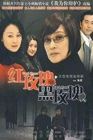 红玫瑰黑玫瑰 tv show poster