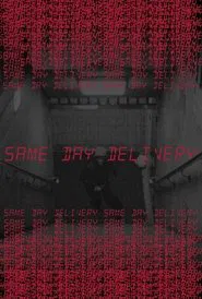 Poster do filme Same Day Delivery