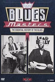 Blues Masters - The Essential History of the Blues movie poster