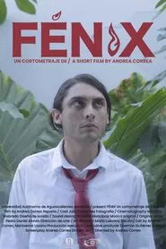 Poster do filme FENIX