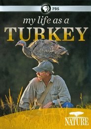 My Life as a Turkey movie poster