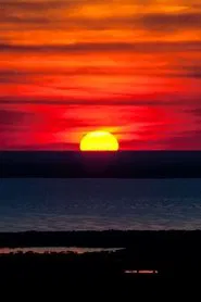 Lead Me Home movie poster