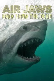Air Jaws: Back From The Dead movie poster