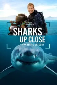 Sharks Up Close with Bertie Gregory movie poster