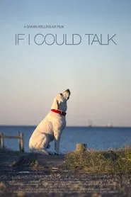 If I Could Talk movie poster