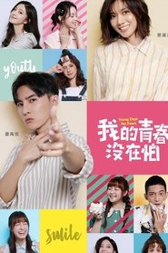 我的青春没在怕 tv show poster
