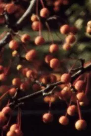 Poster do filme Five Year Diary, Reel 47: I Thought the Film Would End (October 21–November 2, 1986)