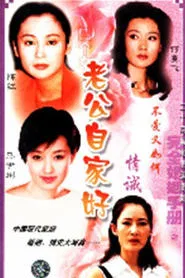 完全婚姻手册 tv show poster