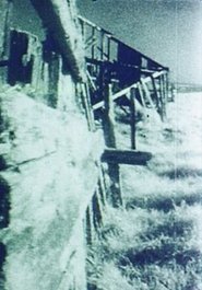 Billabong movie poster