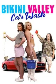 Bikini Valley Car Wash movie poster
