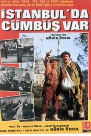 Poster do filme İstanbul'da Cümbüş Var