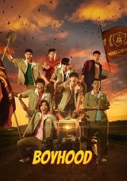 Boyhood tv show poster