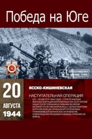 Victory in the South movie poster