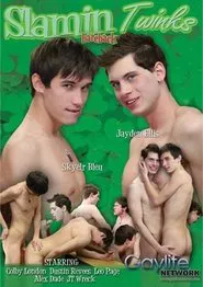Poster do filme Slamin Twinks Bareback