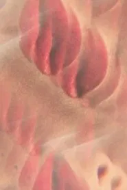 blood keys movie poster