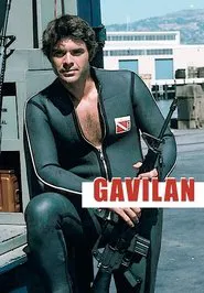 Gavilan tv show poster