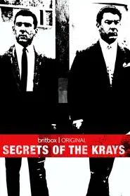 Secrets of the Krays tv show poster