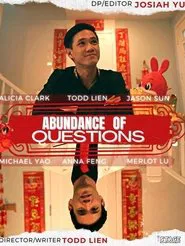 Abundance of Questions movie poster