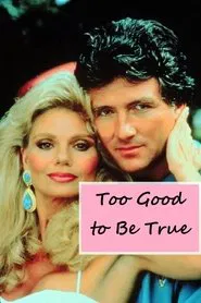 Too Good to Be True movie poster