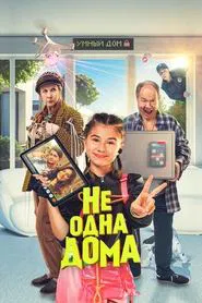 Not Home Alone movie poster