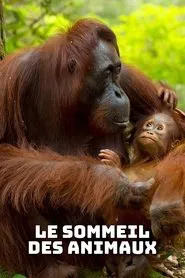 Le sommeil des animaux movie poster