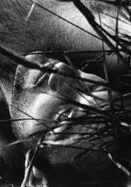 Poster do filme The Urine Crazed Corpse Catchers