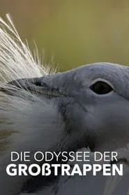 Die Odyssee der Großtrappen - Das Comeback der Riesenvögel movie poster