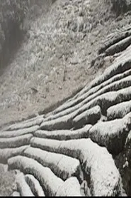 Poster do filme Osawa Winter