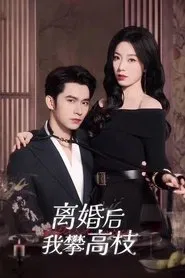 绯色过浓 tv show poster