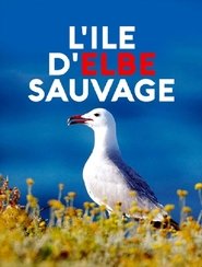 Wildes Elba movie poster