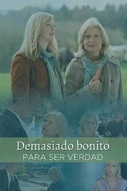 Zu schön um wahr zu sein movie poster