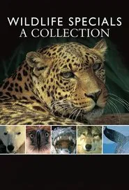 Wildlife Specials tv show poster