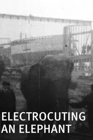 Electrocuting an Elephant movie poster