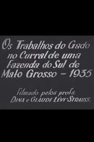 Cattle Work in the Corral of a Farm in Southern Mato Grosso movie poster