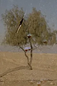 Poster do filme [anan]